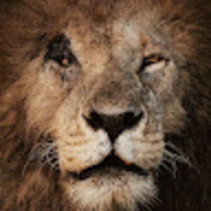 Meet your Posher, Hussein